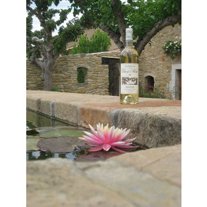 Bouteille vin blanc Gros Nor