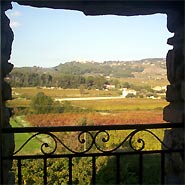Guide Vins de Provence 2005-2006