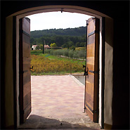 Revue du Vin de France juillet-août 2005