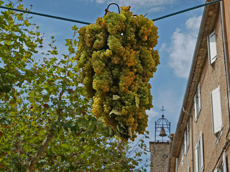 Grappe